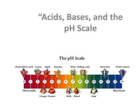 Alternatively, acids may be viewed as electron pair acceptors and bases as electron pair donors. PPT - "Acids, Bases, and the pH Scale PowerPoint ...