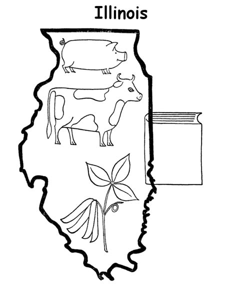 Usa Printables State Outline Shape And Demographic Map State Of