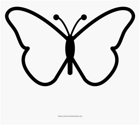 Butterfly Coloring Page Butterfly Design Drawing Easy Hd Png