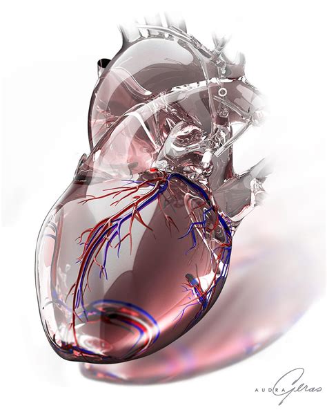 Glass Heart Geras Healthcare Productions