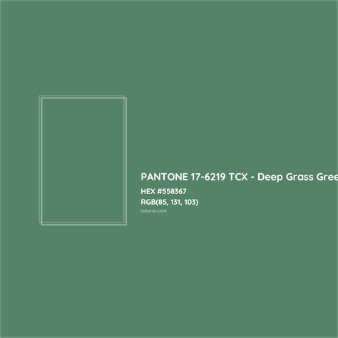 Pantone 17 6219 Tcx Deep Grass Green Complementary Or Opposite Color