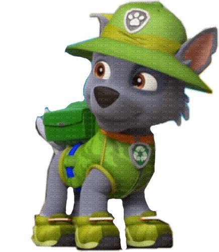 Paw Patrol Rocky Paw Patrol Png Paw Patrol Cake Rocky Paw Patrol Png