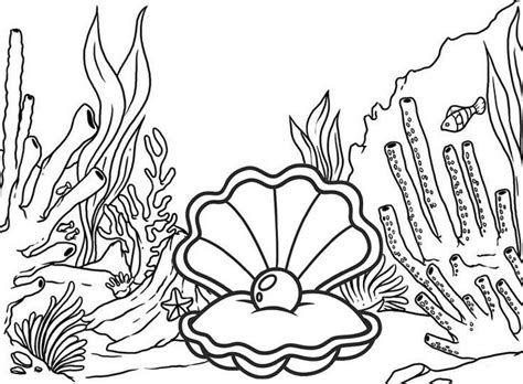 Oyster Coloring Coloring Pages