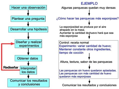 10 Ejemplos De Método Científico Fáciles