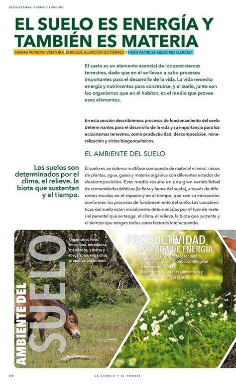 Revistas Cientificas