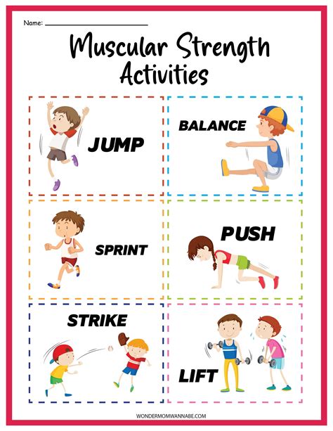 Muscular System Activity Sheet