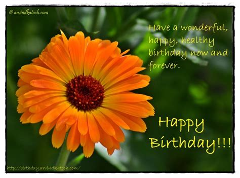 Happy Birthday Flowers Images