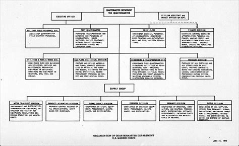 Navy Organizational Chart