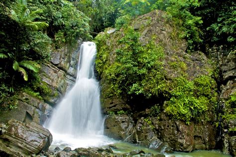 El Yunque Vista Higher Learning Blog