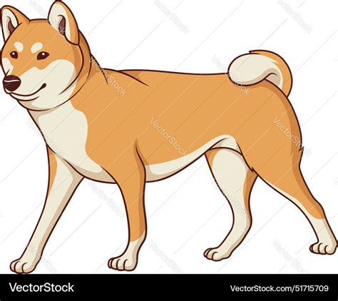 Shiba Inu Walking Cartoon Royalty Free Vector Image