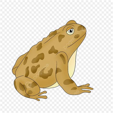 Toad PNG Picture Yellow Brown Toad Clip Art Toad Clipart Yellow