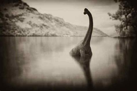 The Loch Ness Monster The Whole Story