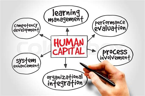 Human Capital Stock Image Colourbox