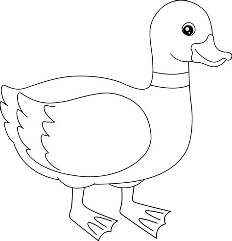 Dibujo De Pato Para Colorear Página Aislado Niños Naturaleza Granja