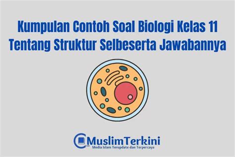 Kumpulan Contoh Soal Biologi Kelas 11 Tentang Struktur Sel Beserta