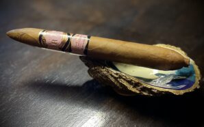 Cigar Review – Rose of Sharon Salomon by Southern Draw