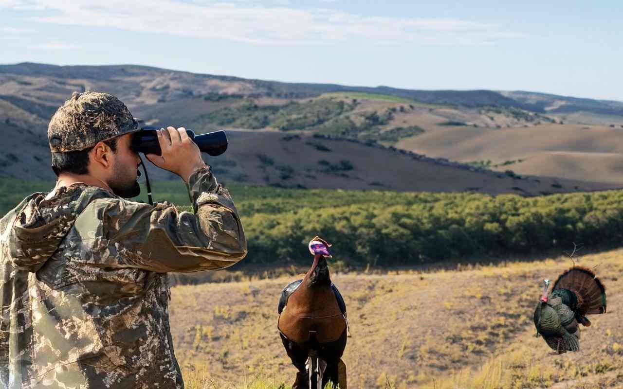 How To Go Spring Turkey Hunting? Mastering Spring Turkey Hunting: Top ...