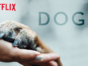 Dogs TV show on Netflix renewed for season two; (canceled or renewed?)