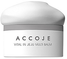 Мультибальзам для тела Accoje Vital in Jeju Multi Balm