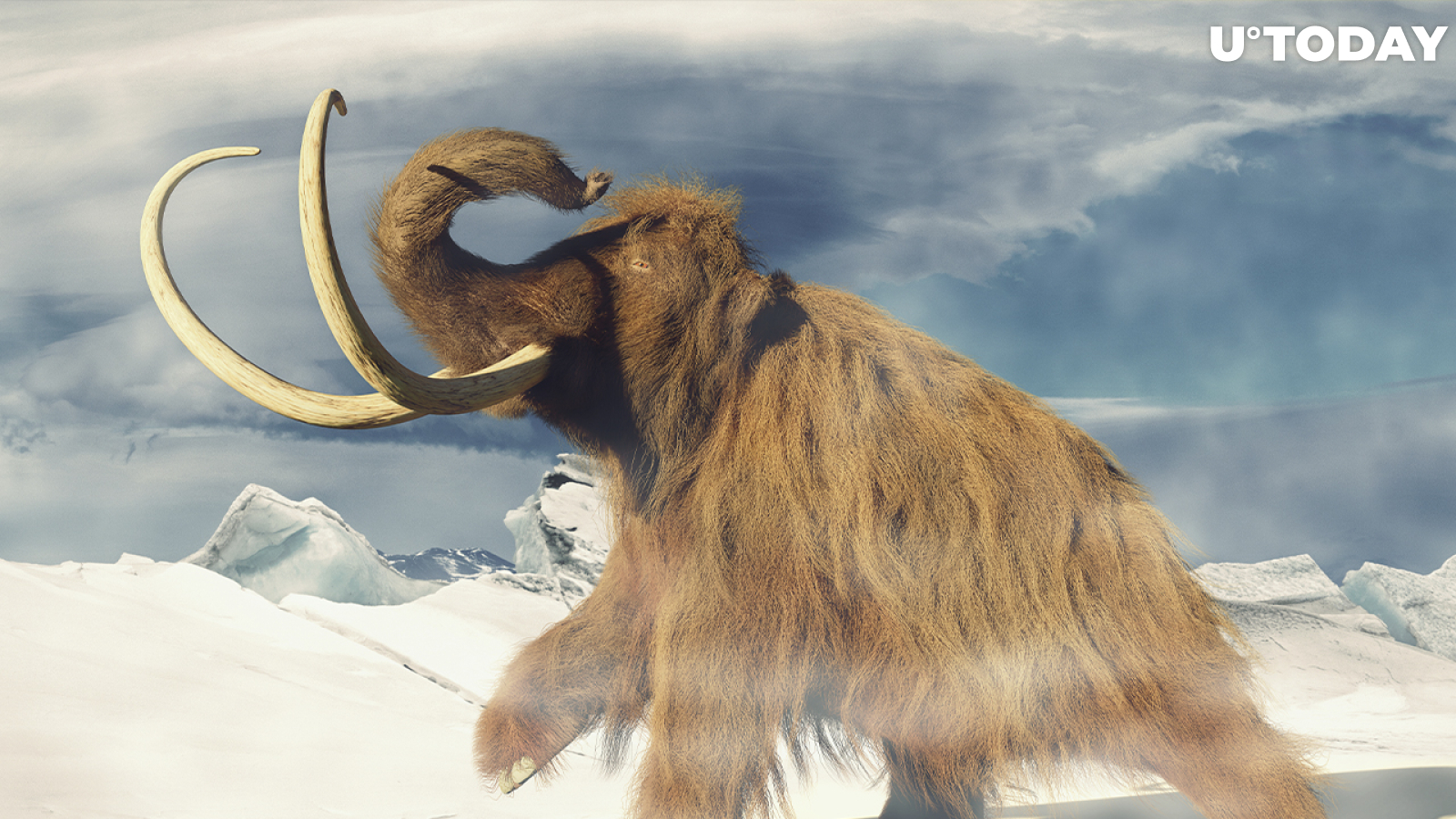 Cardano Creator Invests in Reviving Woolly Mammoths