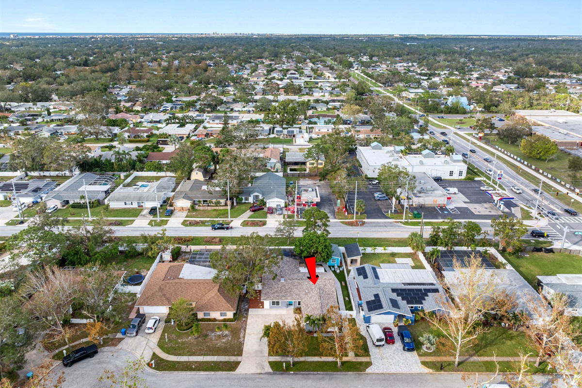 Aerial View of the Neighborhood