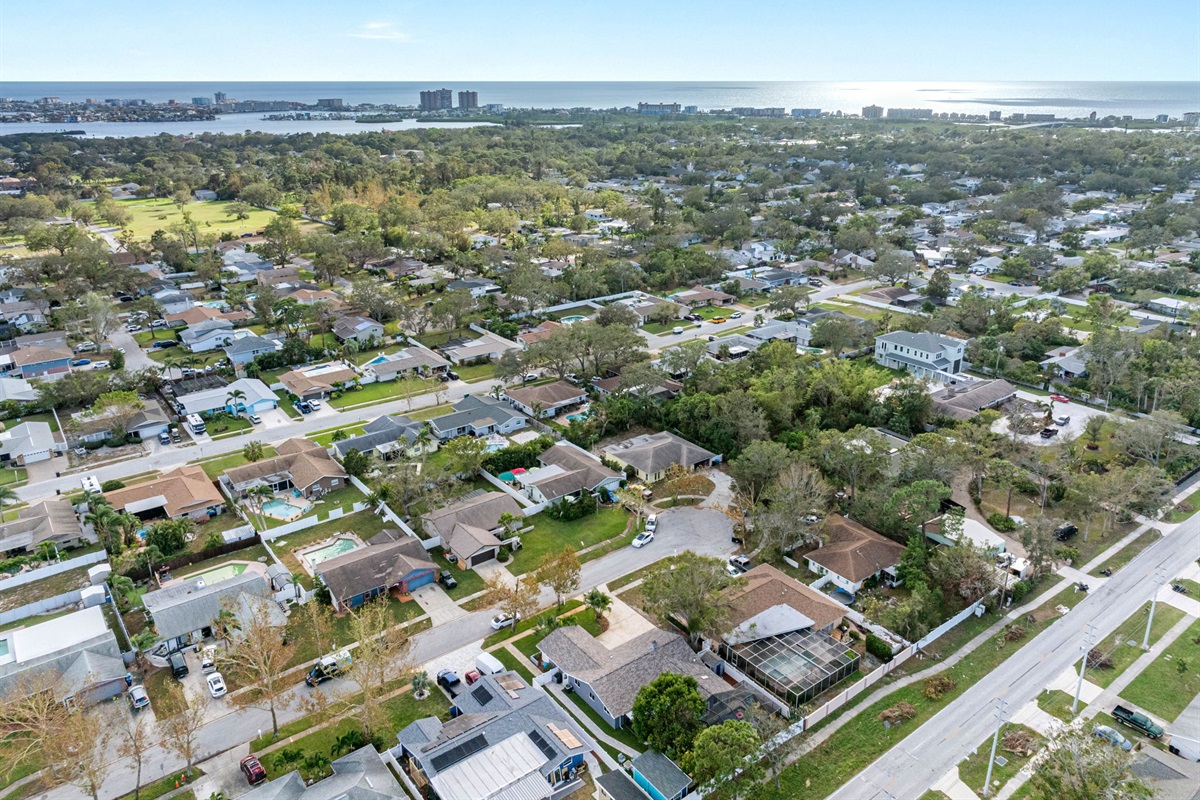 Aerial View of the Neighborhood