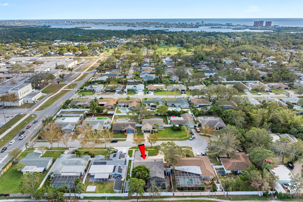 Aerial View of the Neighborhood