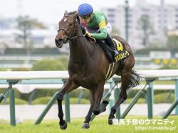 【秋華賞2024】血統アナリシス　キングカメハメハを筆頭にNureyevの血を引く馬が連勝中