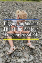 Fossil Hunting at the Montour Preserve Fossil Pit - Uncovering PA