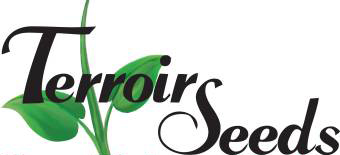 Terroir Seeds | Underwood Gardens