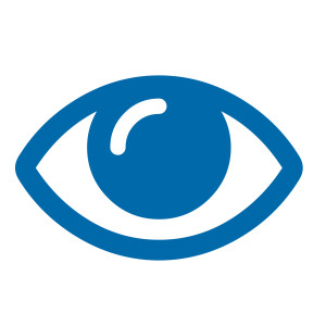 Vision Icon