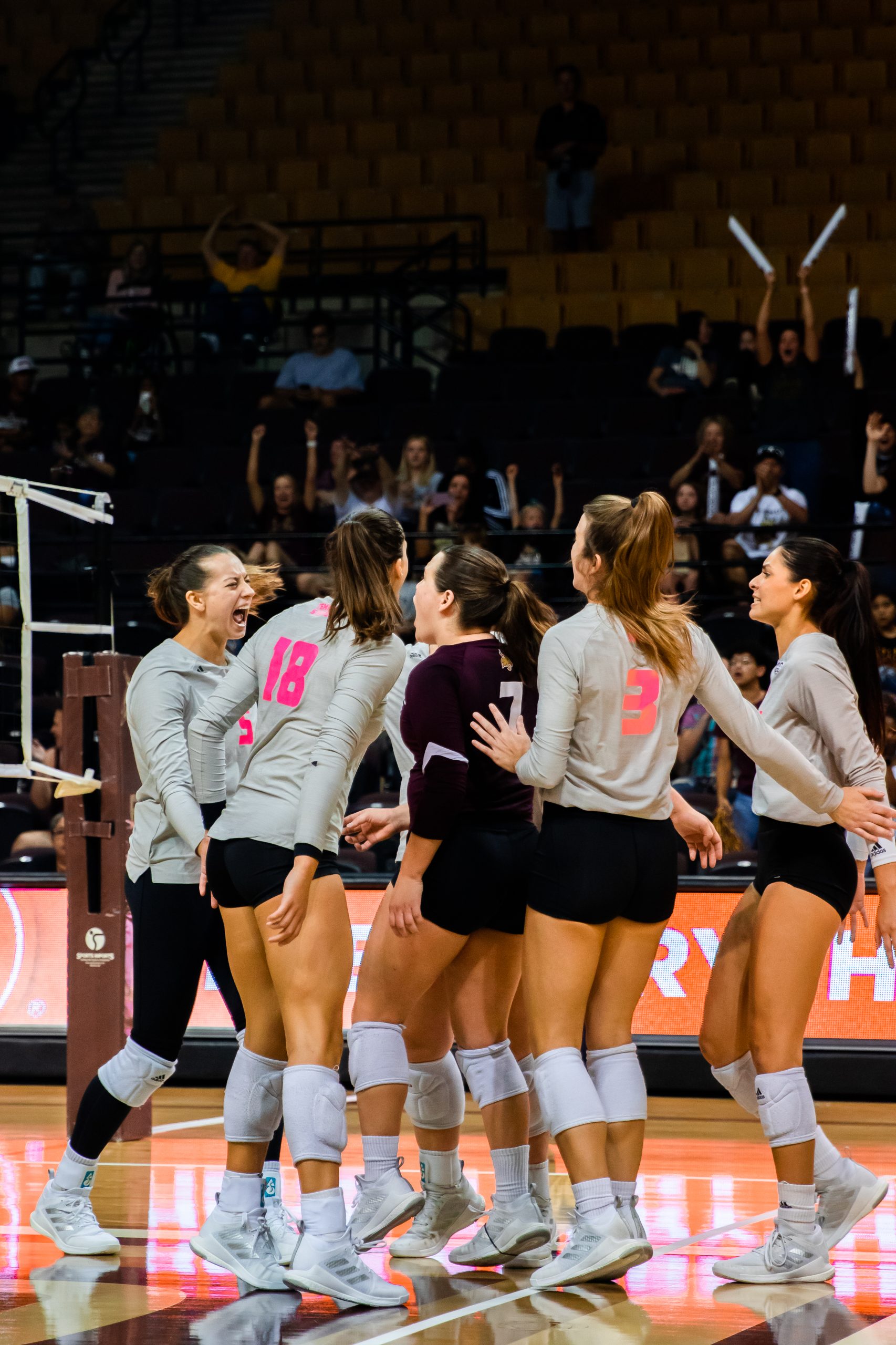 (Photo Gallery): Volleyball vs. JMU