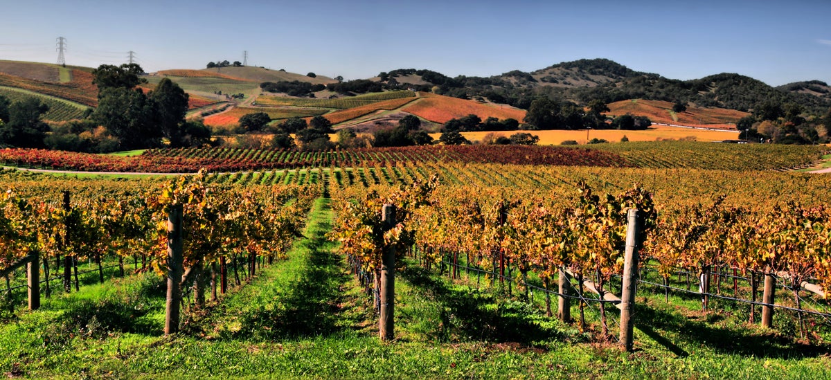 The Ultimate Guide to Visiting & Enjoying Napa Valley, California