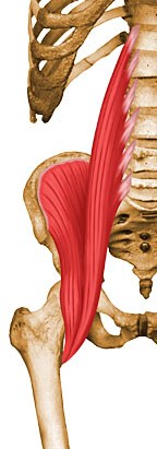 https://upload.medbullets.com/topic/121921/images/psoas.jpg