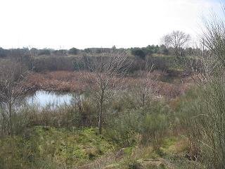 Lakes of Perales