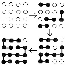 Step-growth polymerization