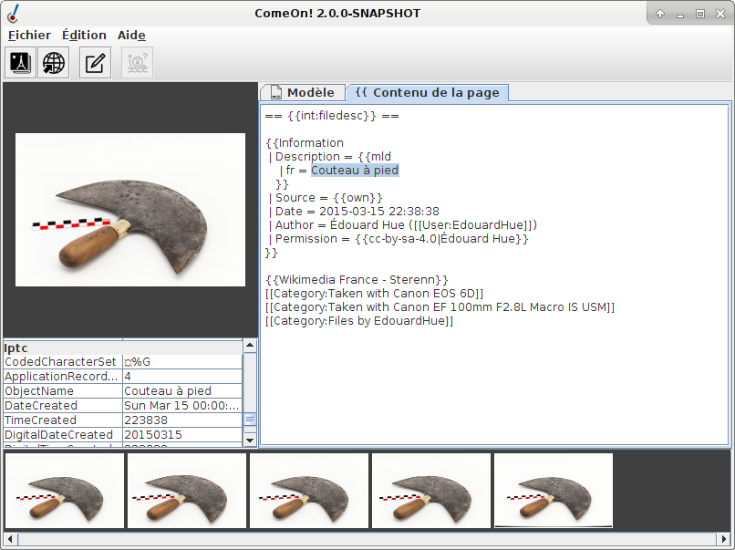 Résultat de l’insertion d'une métadonnée dans l’onglet Page de description.