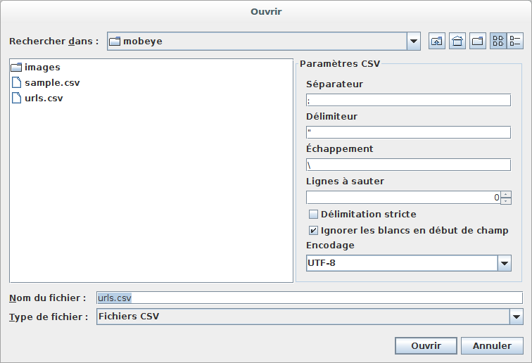 Configuration du format du fichier CSV.