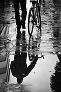 Bicycle reflections