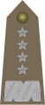 Polish Army OF-09 (Generał)