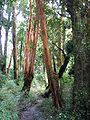 Chiloé Island, Chile