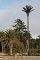 osmwiki:File:Swakopmund GSM-Antenne.jpg