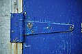 * Nomination: A blue hinge near my house. --Letartean 18:13, 11 November 2010 (UTC) * Review Welcome back, but I'm not sure about sharpness...--Jebulon 23:17, 11 November 2010 (UTC)