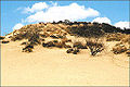 Hoge Blekker Koksijde - highest dune on the Belgian coast.