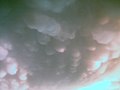 Cumulonimbus incus mammatus