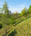 Čeština: Přírodní památka Salabka v Praze, kde je chráněné stepní rostlinné společenstvo vřesovištního typu English: Natural monument Salabka in Prague