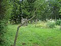 Garden near the Törnjek