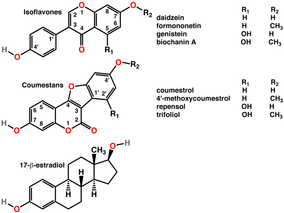 Phytoestrogen