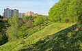 Čeština: Přírodní památka Salabka v Praze, kde je chráněné stepní rostlinné společenstvo vřesovištního typu English: Natural monument Salabka in Prague