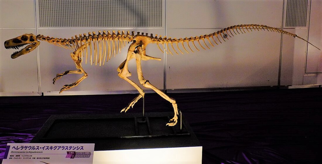 Herrerasaurus